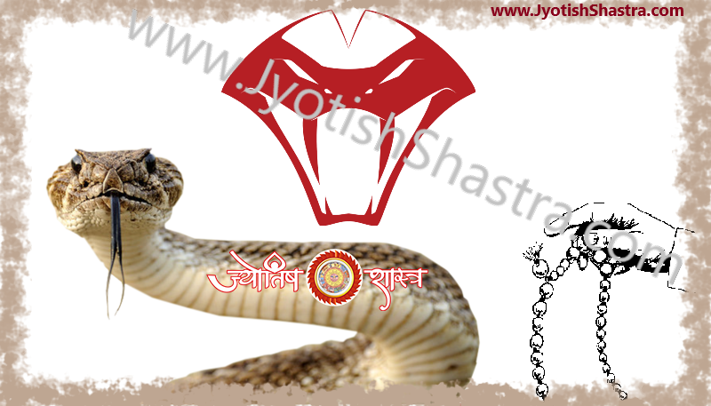 snake-Sarp-shabar-mantra-hypnotize-Astrology-Jyotishshastra-hd-image-png