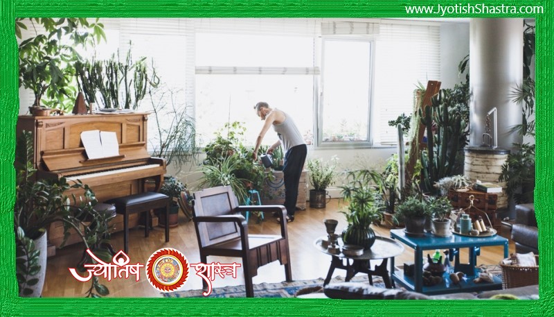 fengshui-tips-for-gaining-positivity-goodluck-positive-benefits-from-plants-and-trees-placement-in-house-shops-offices-bamboo-tree-narangi-lemon-bonsai--in-hindi-Astrology-Fengshui-JyotishShastra-hd-image