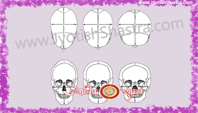skull-head-shapes-sizes-semicircular-oval-square-flat-small-wide-Astrology-Palmistry-Jyotishshastra-hd-image-Horoscope