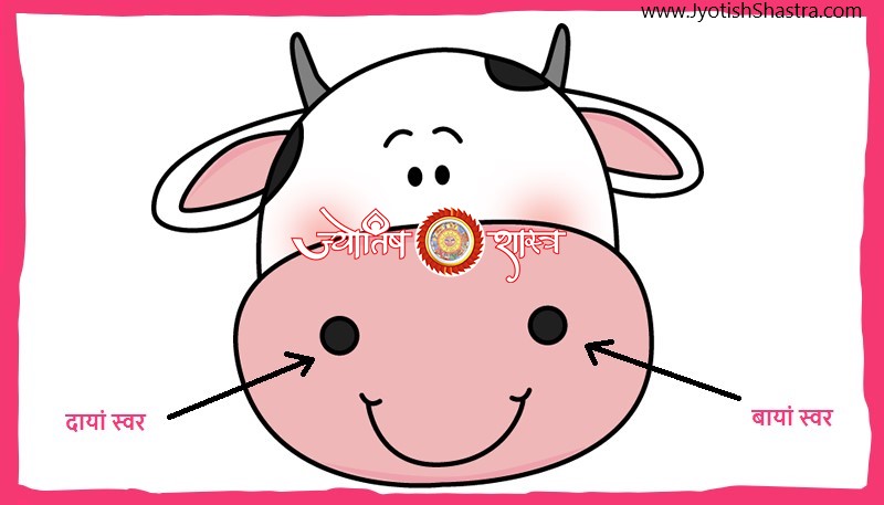 goodluck-left-right-nose-breathing-mantra-chanting-jap-dahina-bayan-swar-hindi-astrology-jyotishshastra-hd-image