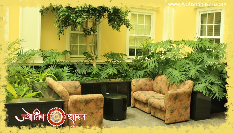 plants-trees-inside-nearby-house-home-plantation-vastu-shastra-ghar-andar-bheetar-nikat-paudha-hindi-astrology-jyotishshastra