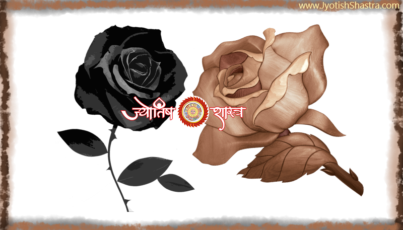 kaala-bhoore-rang-hindi-brown-black-color-rose-astrology-palmistry-numerology-jyotishshastra-hd-png