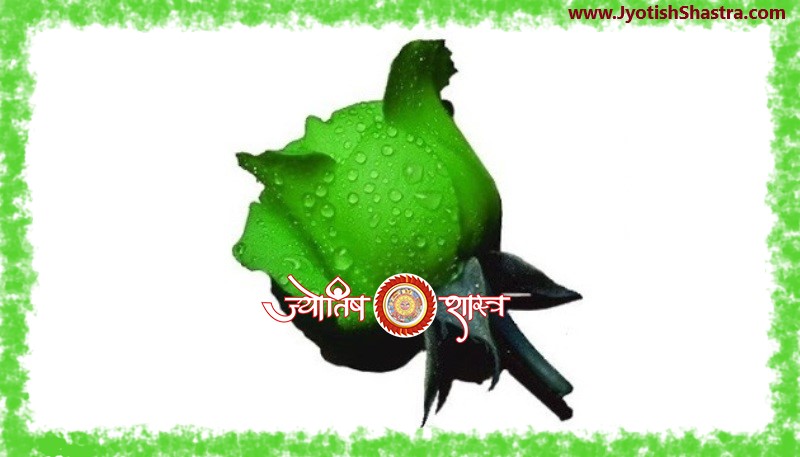 rose-green-hara-rang-color-Astrology-Palmistry-JyotishShastra-hd-png-image
