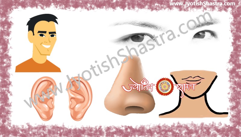 face-shapes-size-nose-eyes-lips-chin-ears-eyebrows-chehra-mukh-naak-aankh-kaan-matha-mastak-honth-thodi-palmistry-astrology-jyotishshastra-hd