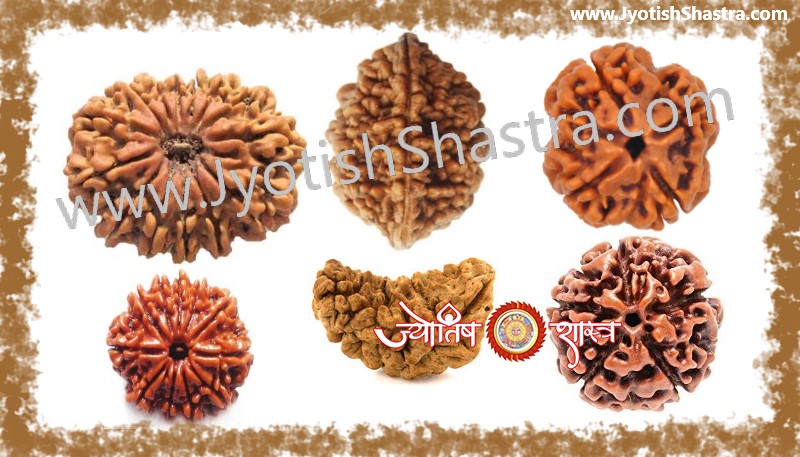 rudraksh-mala-chain-shankar-shiv-astrology-jyotishshastra-hd-png-image