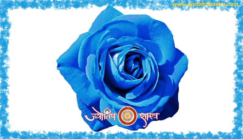 rose-blue-color-Astrology-Palmistry-JyotishShastra-hd-png-image