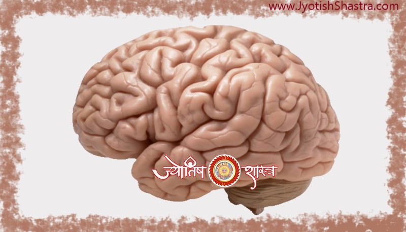 improve-brain-speed-memory-space-25-tips-jyotishshastra-ayurveda-hd-png